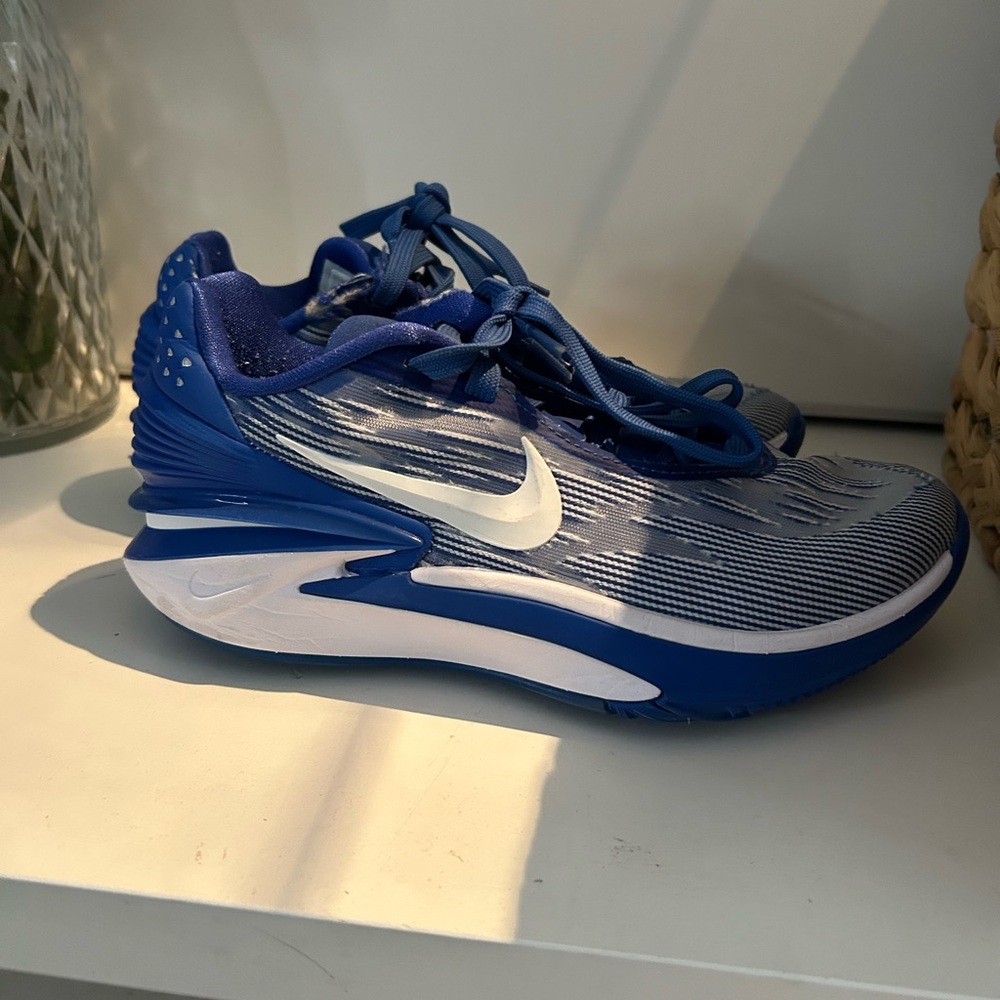 Nike Dynamic Blue and White shoes